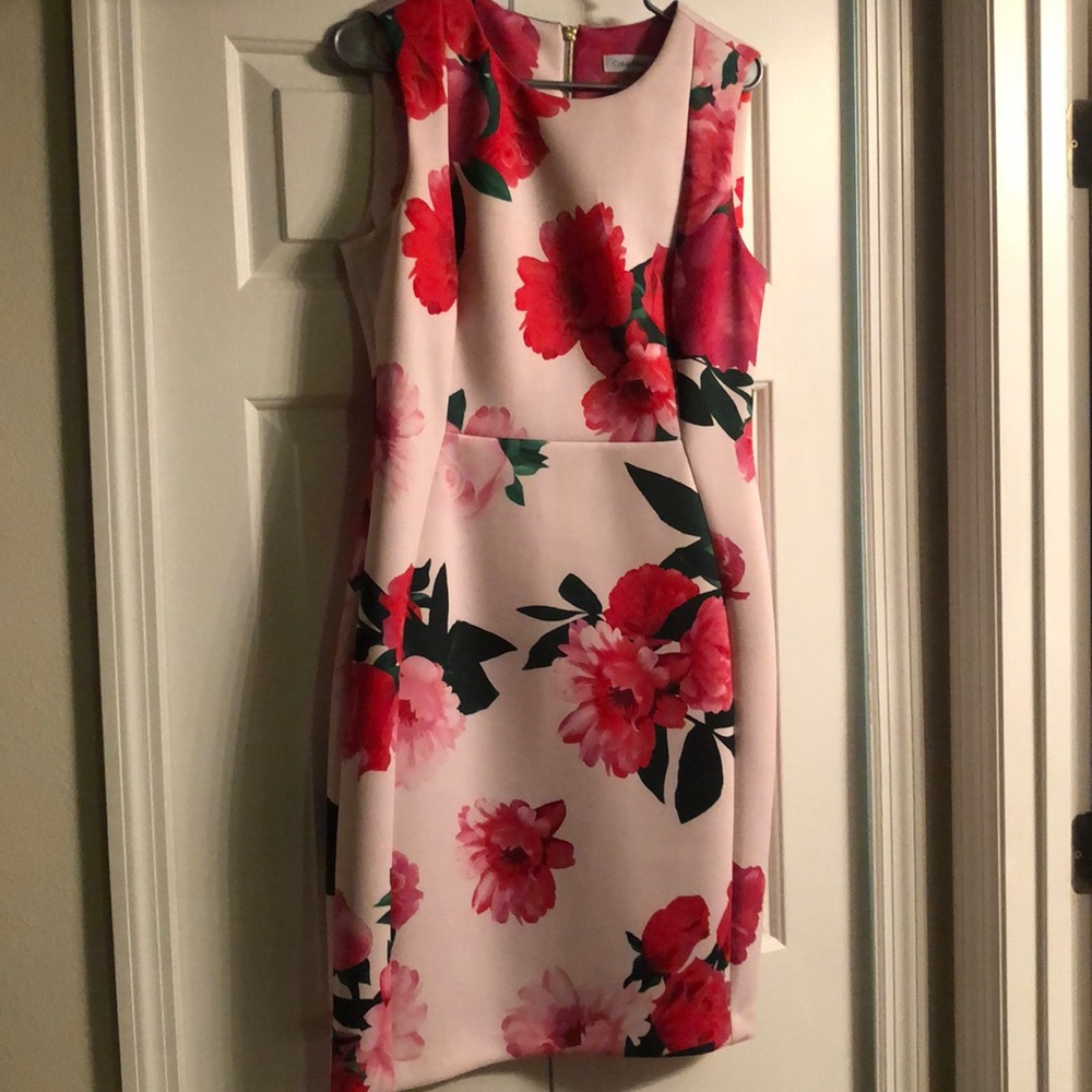 Calvin Klein pink/red floral scuba dress, size 12